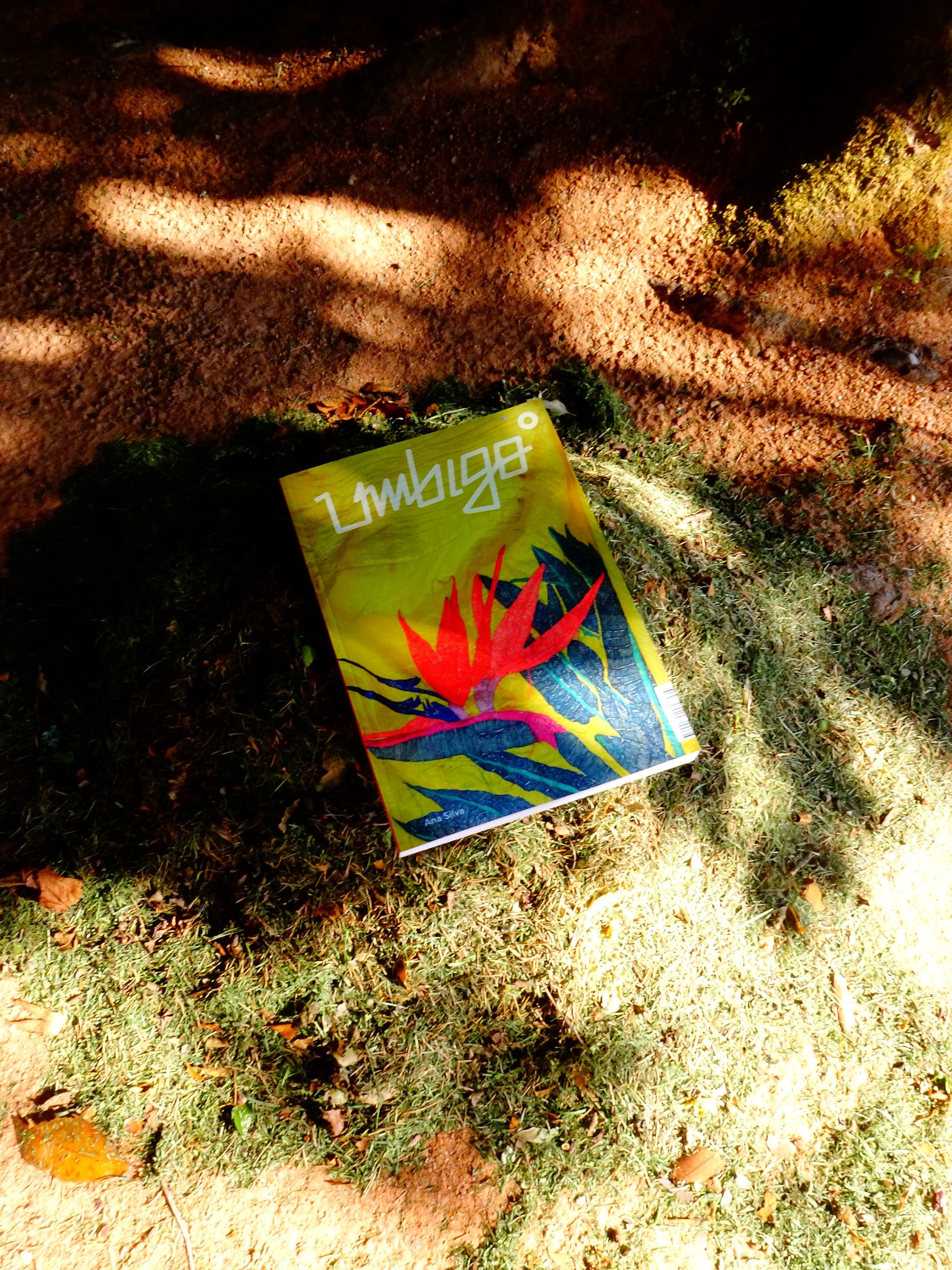 Umbigo