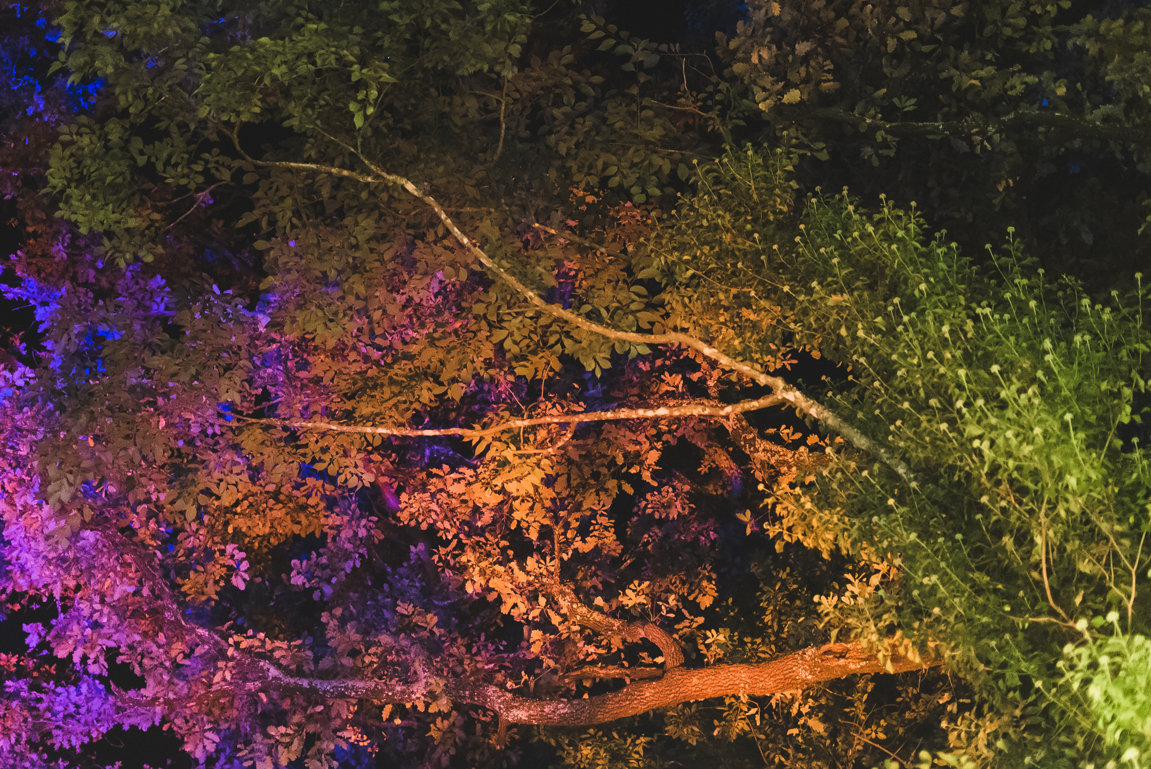 Iluminação Cénica Noturna