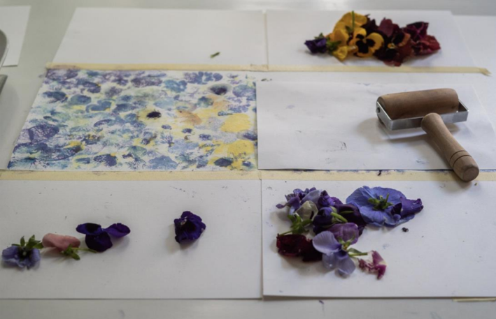 Desenhar com flores | Drawing with flowers | Nature Print